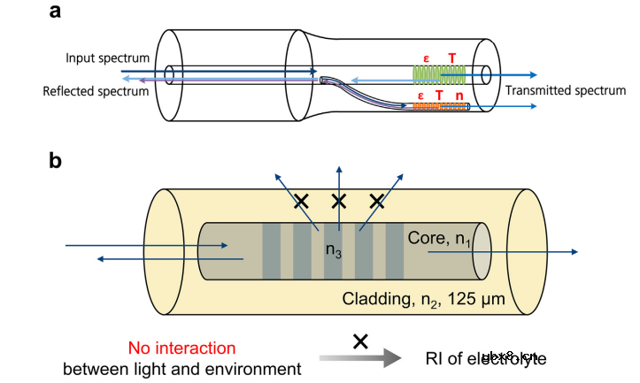 国家杰青黄云辉教授/李真教授：光纤传感技术在可充电电池健康监测中的应用