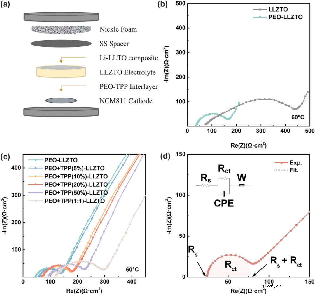使用多功能正极缓冲层增强石榴石基全固态锂电池的高温循环稳定性