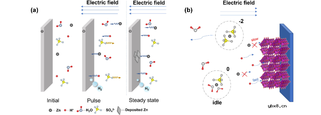 水系锌离子电池电解质设计原则