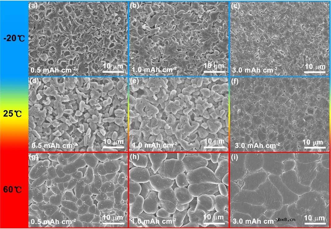 新型非溶剂化氟磺酰羧酸酯实现高压宽温锂金属电池