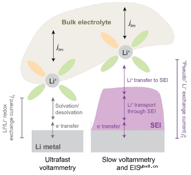Li+交换电流密度和CE关系如何？最佳SEI该如何设计？