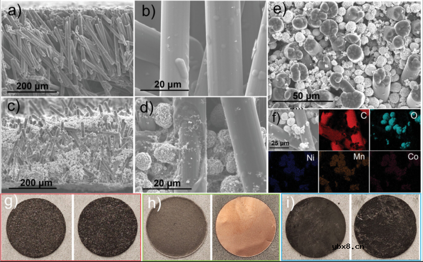 用于高面积容量电池的多功能碳纤维