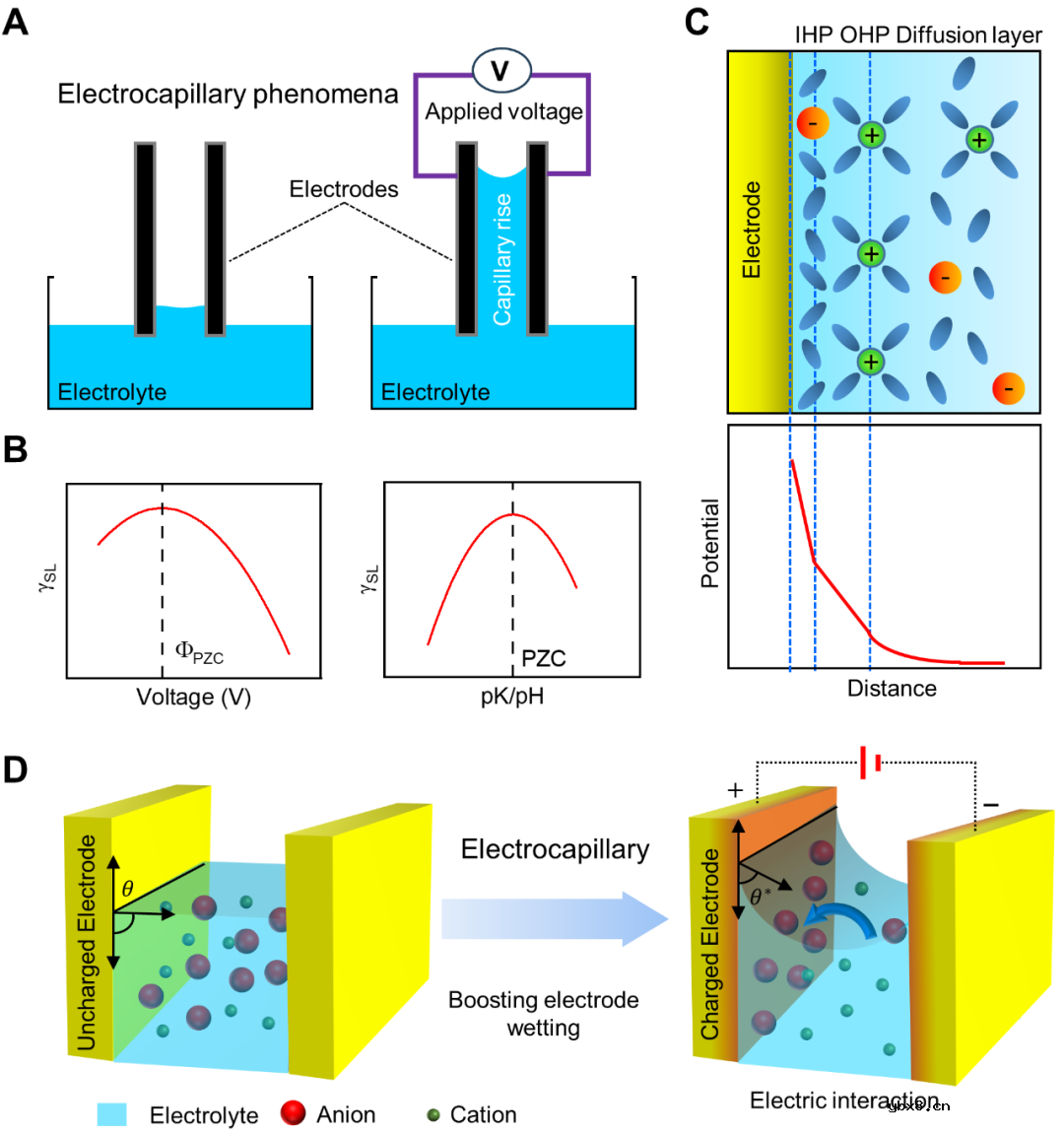深入剖析电毛细效应加速电池浸润的方法