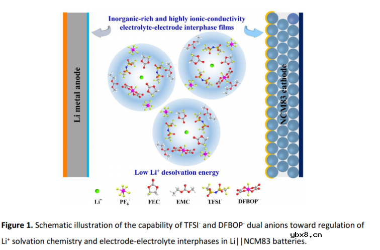 通过双阴离子调节电解质实现实用的高能量密度锂金属电池