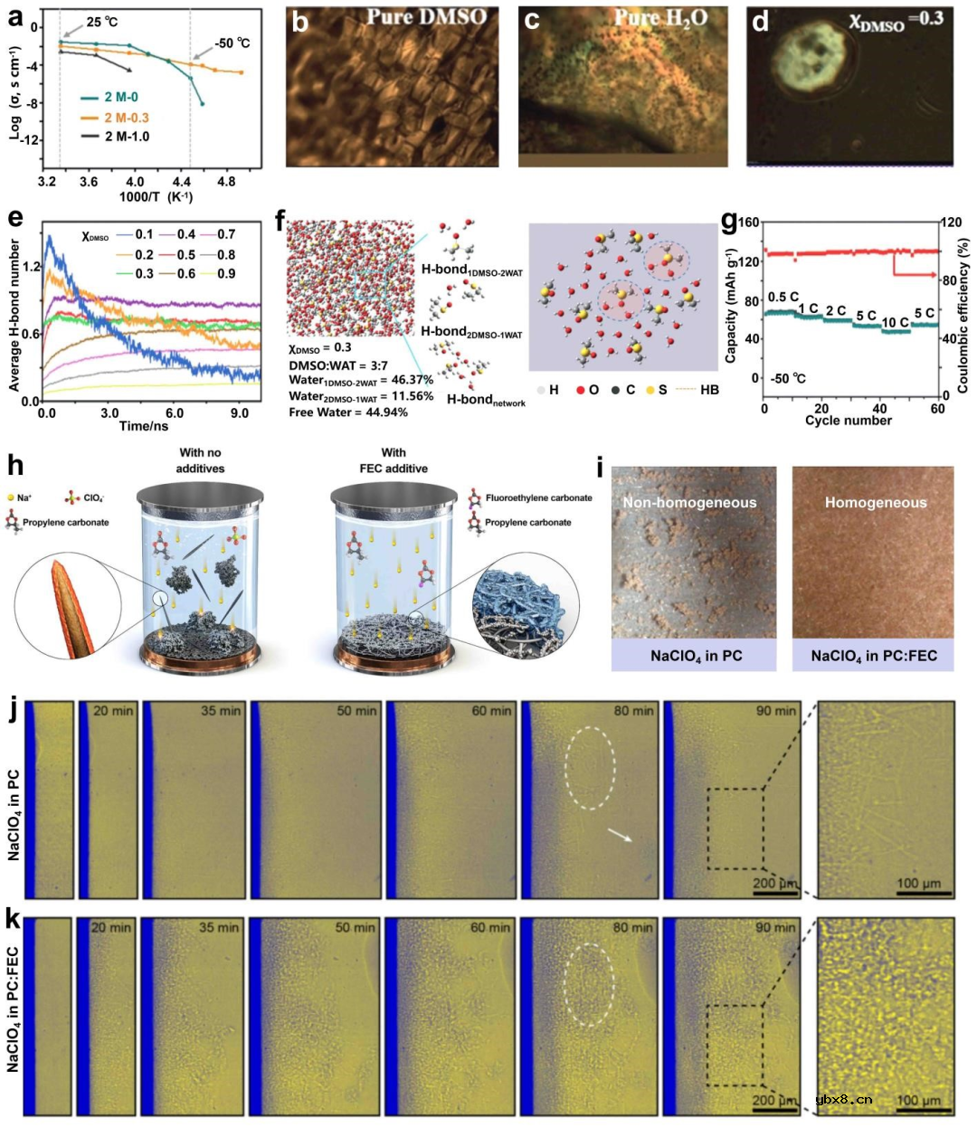 宽温域钠金属电池研究进展