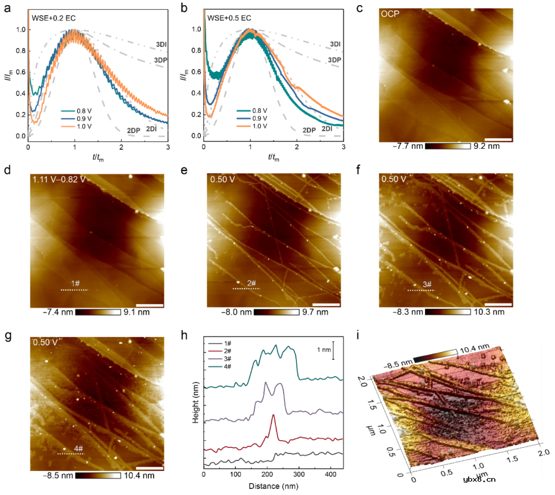 锂离子电池中SEI的形核生长机制研究