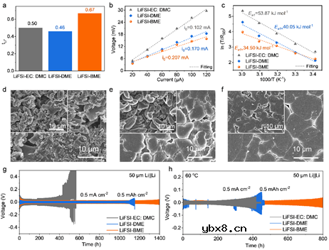 单溶剂分子特殊的络合方式，调控阴离子溶剂化结构