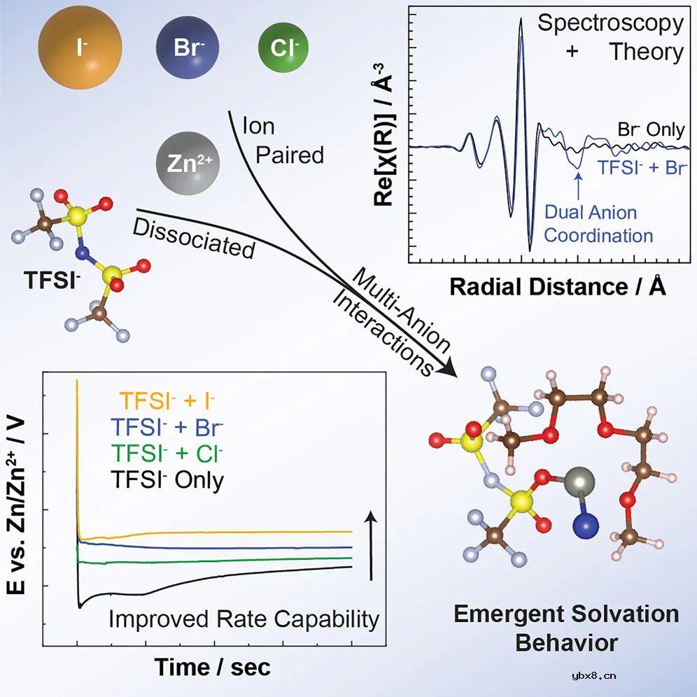 阿贡实验室Chem发文再谈Zn2+配位环境