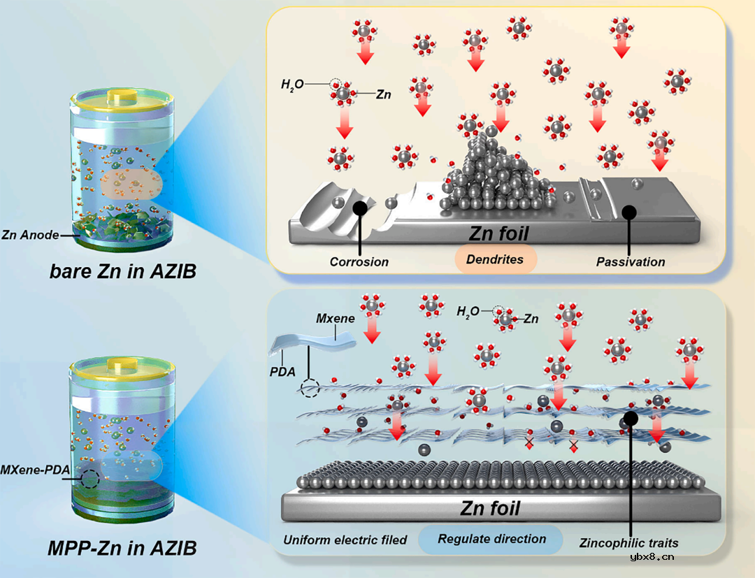 用于稳定且无枝晶的锌金属电池的多功能MXene-多孔聚多巴胺界面