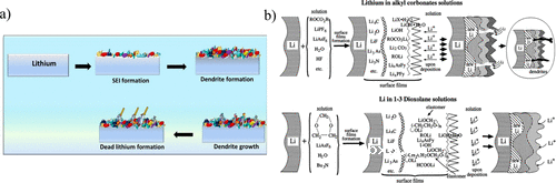 优化碳酸酯基电解液用于锂负极