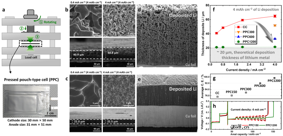 高能量密度、长寿命锂金属电池新突破 高能量密度、长寿命锂金属电池新突破