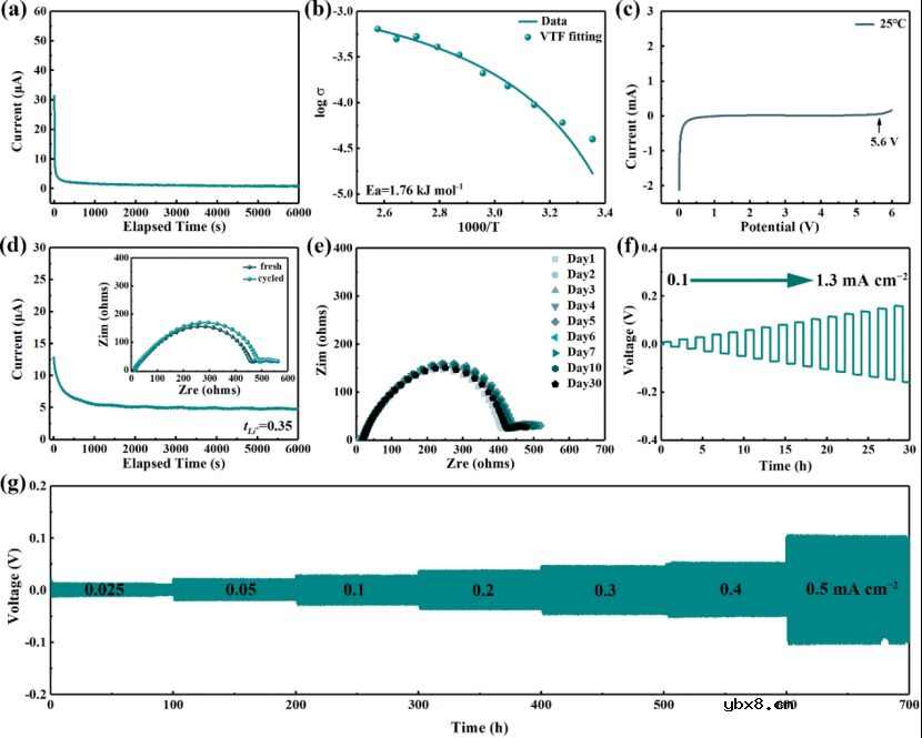 锂金属电池室温固态聚合物电解质的锂离子传导机制