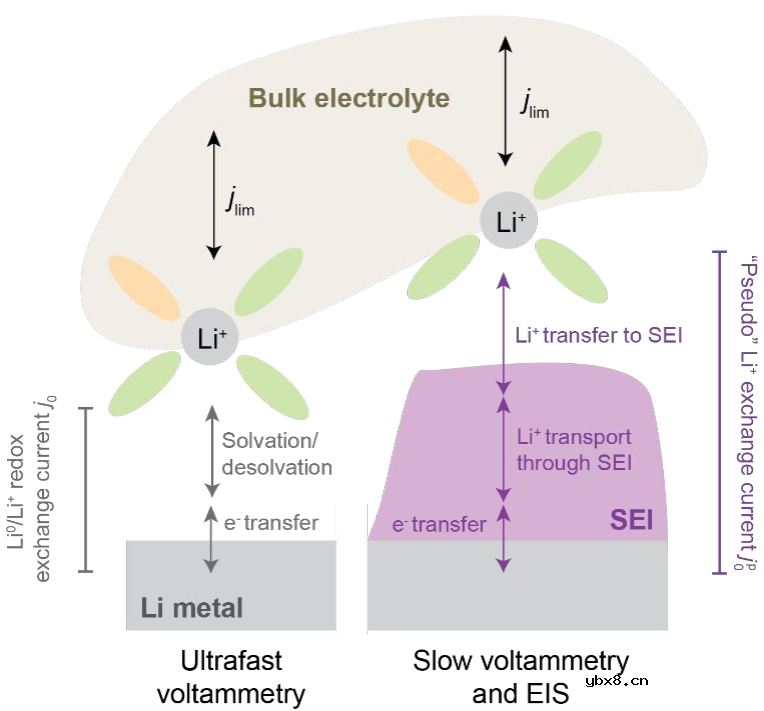 影响库伦效率的新因素—锂离子交换速率