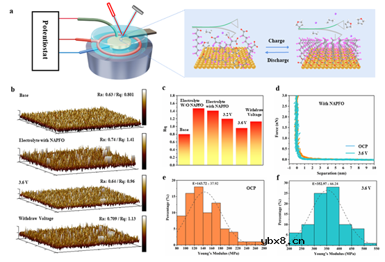 超分子不对称盐界面自组装实现超低温下的功率密度锂金属电池 超分子不对称盐界面自组装实现超低温下的功率密度锂金属电池