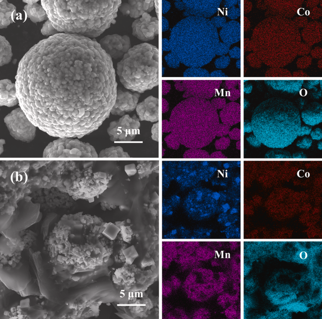 原位碳热还原法从废旧锂离子电池中选择性回收锂的热力学和实验分析