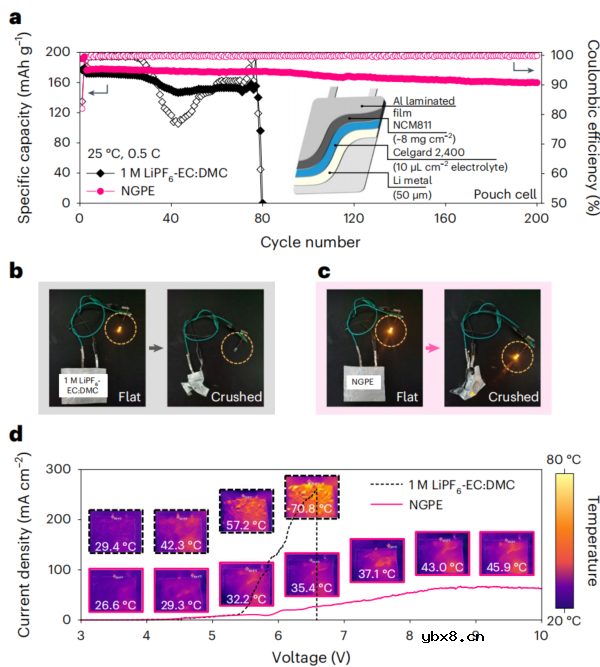磷腈基凝胶电解质助力极端工况高安全锂金属电池
