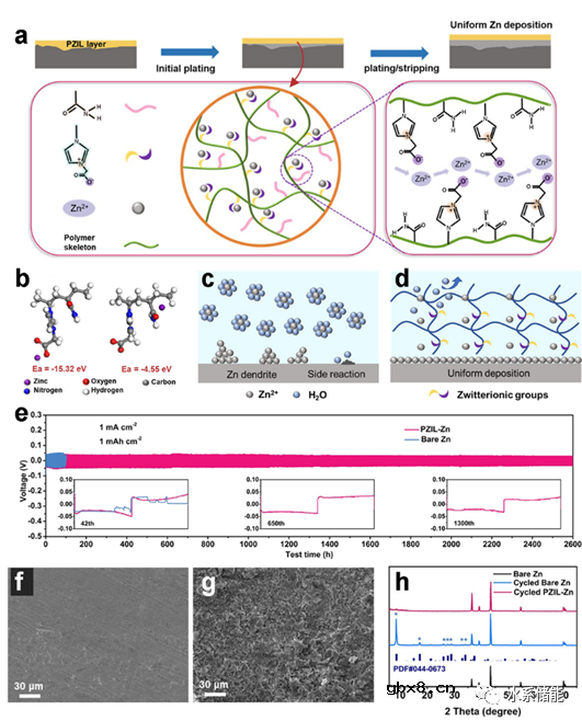 离子液体基电解液在非水系和水系金属电池中的研究进展
