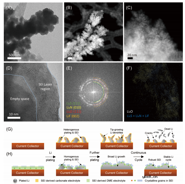 低温电子显微镜观察锂负极上的双层SEI