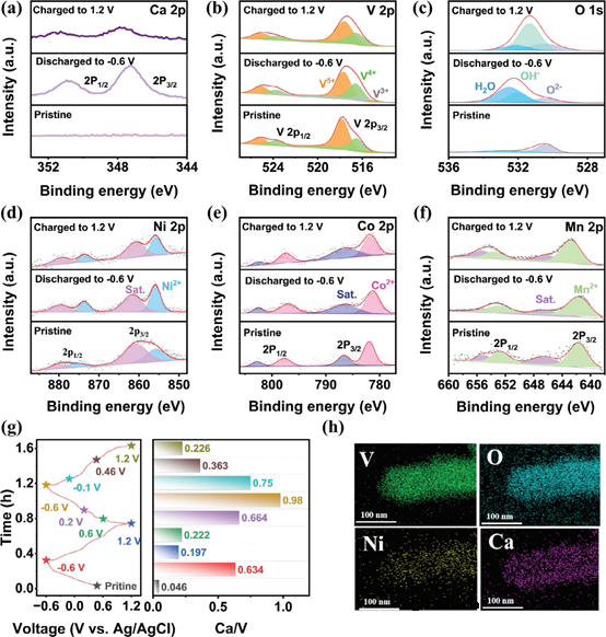 过渡金属钒酸盐用于钙离子电池