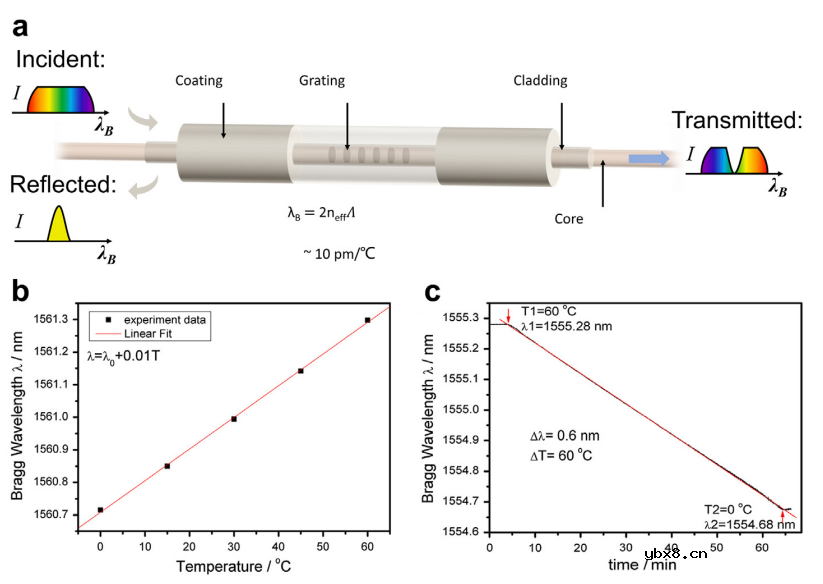 国家杰青黄云辉教授/李真教授：光纤传感技术在可充电电池健康监测中的应用