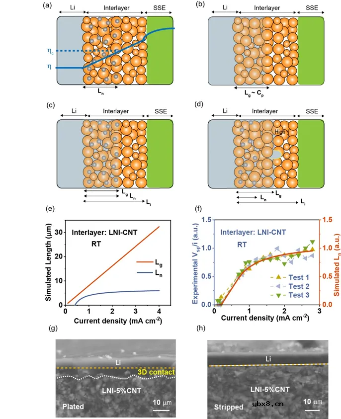 全固态锂金属电池负极界面设计 全固态锂金属电池负极界面设计