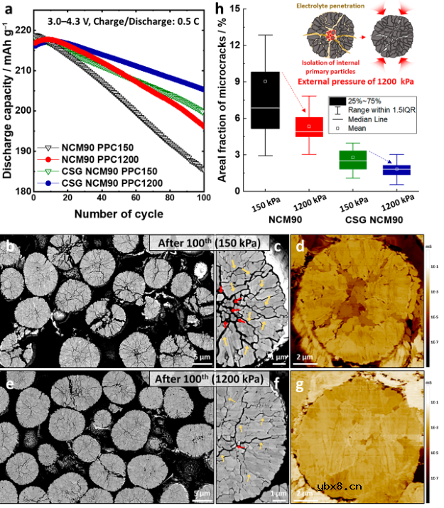 高能量密度、长寿命锂金属电池新突破 高能量密度、长寿命锂金属电池新突破