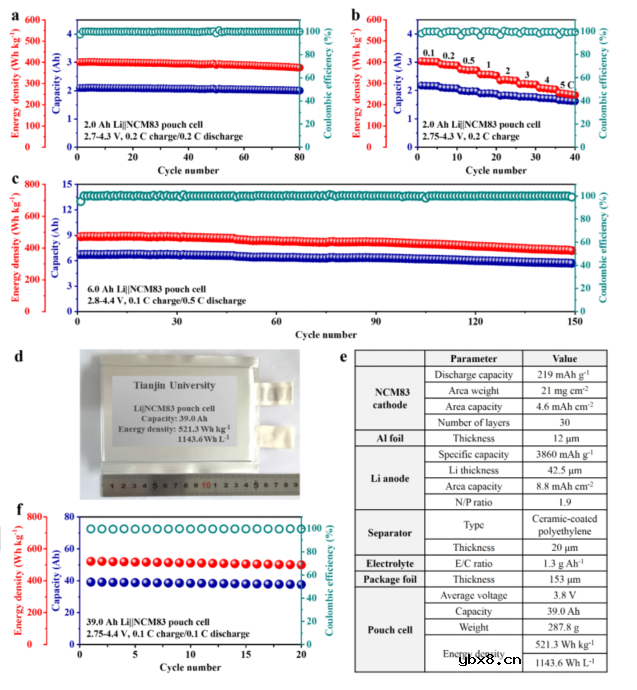 通过双阴离子调节电解质实现实用的高能量密度锂金属电池