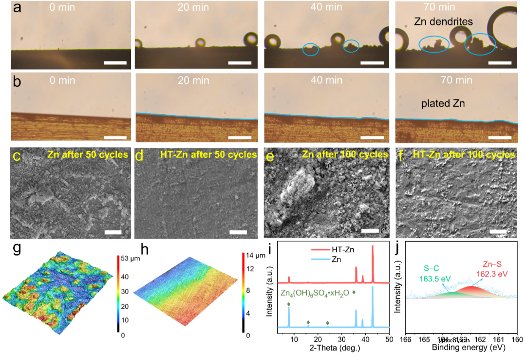自组装硫醇分子层抑制枝晶和电极腐蚀助力稳定水系锌电池