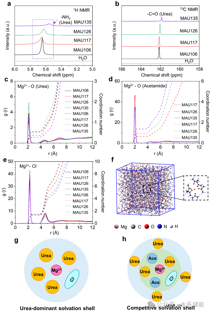 三元深共晶电解液诱发形成具有呼吸效应的固体电解质界面用于长寿命水系镁离子电池