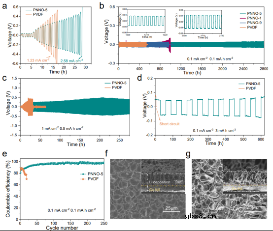 介电填料诱导杂化界面助力高负载锂金属电池