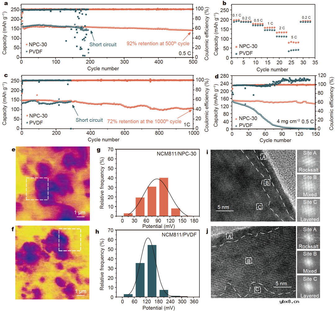 铌酸锂调控固态电解质电场结构促进锂离子高效传输！