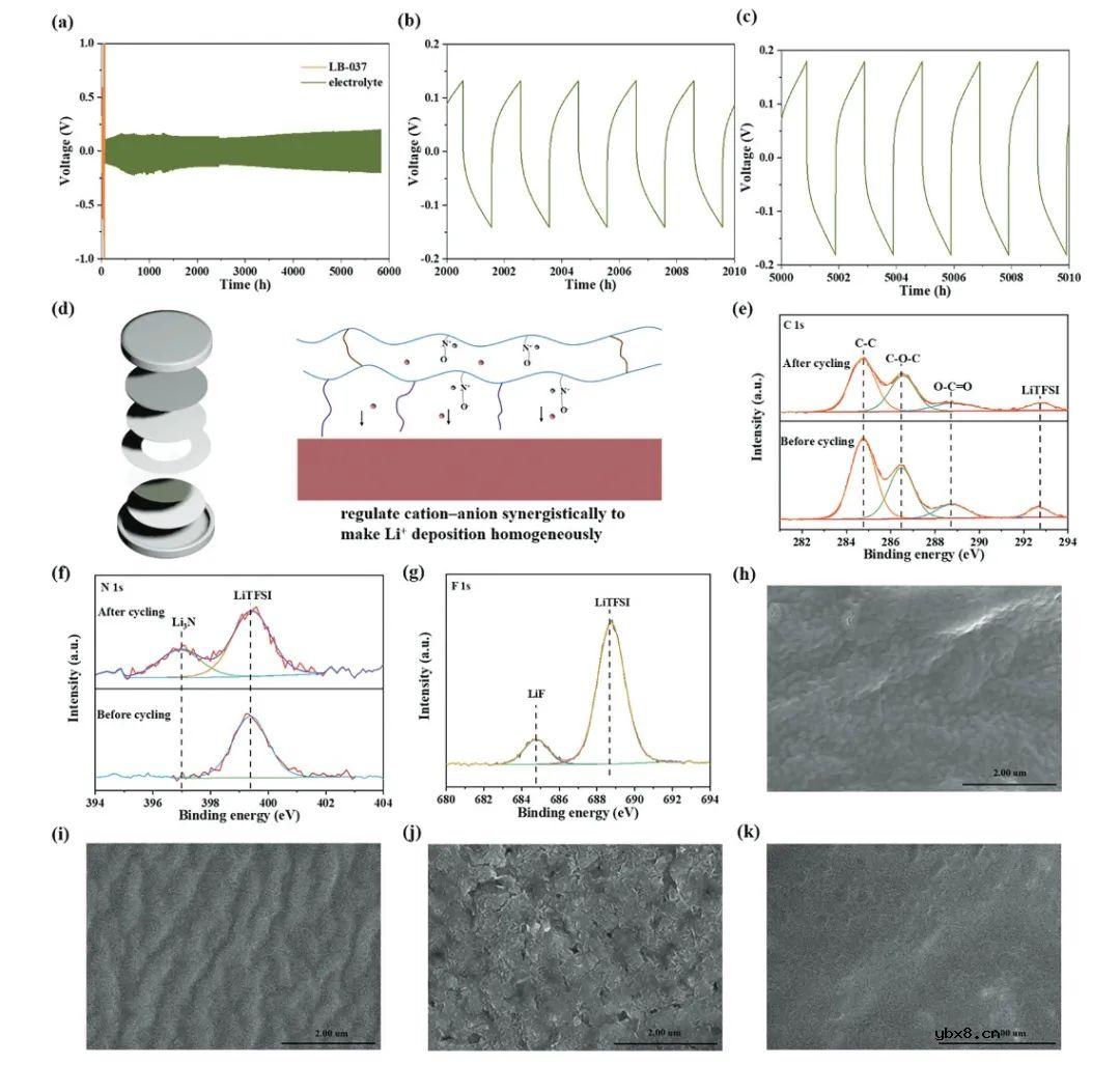 锂金属电池正负离子协同调节功能的两性离子聚合物电解质的原位构建