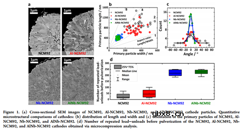 开发高性能锂离子电池富镍正极的掺杂策略