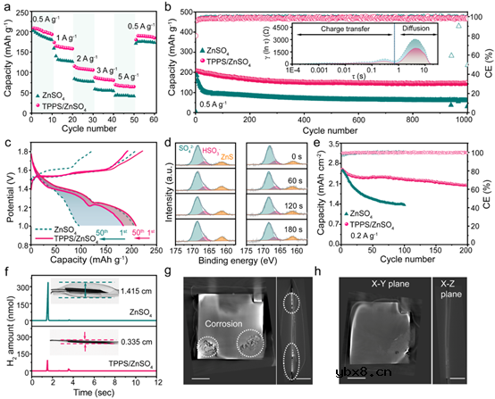 卟啉螯合配体添加剂作为长效锌金属电池的分子筛界面屏障