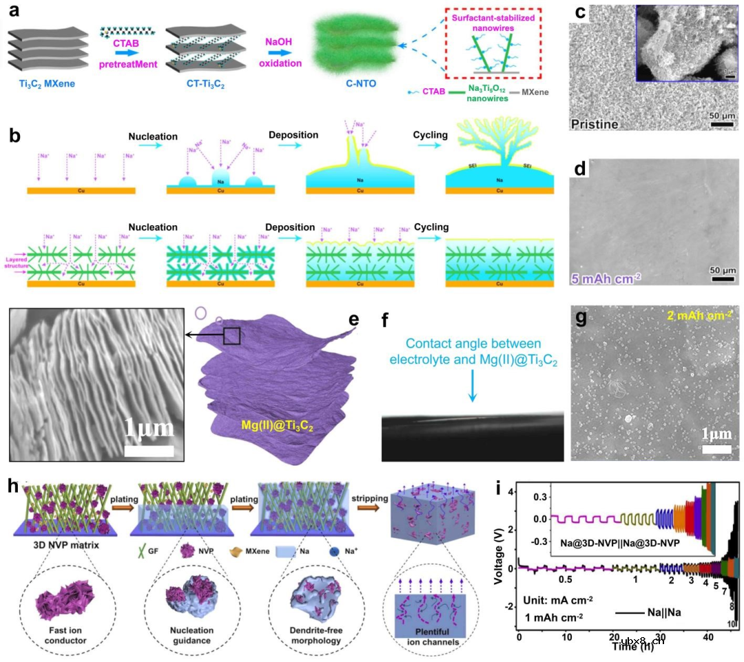 宽温域钠金属电池研究进展