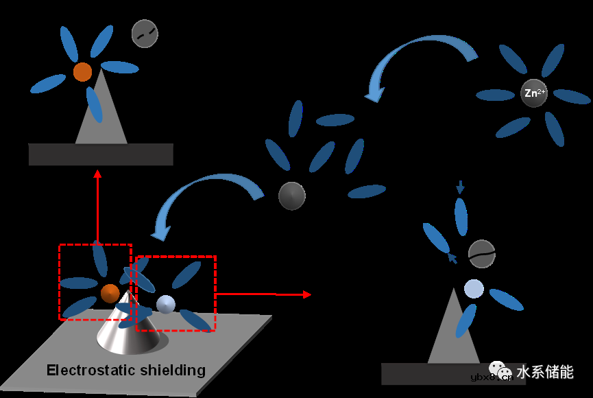 调节用于高性能水系锌离子电池的多金属离子溶剂化结构