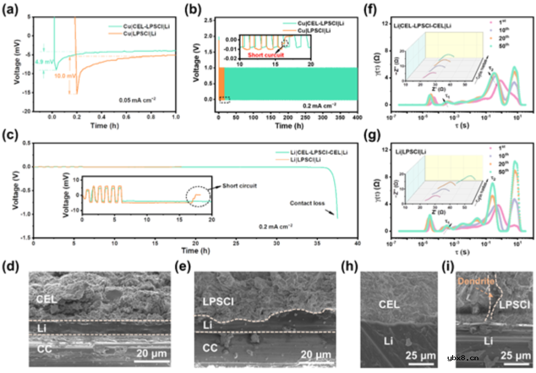 混合导电界面实现长寿命、全固态锂金属电池