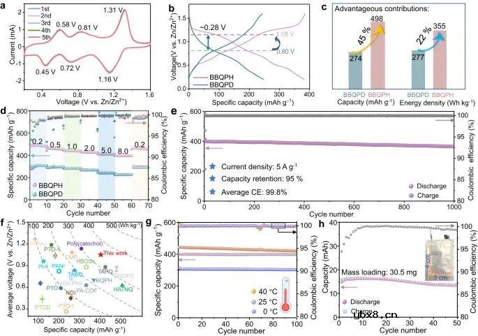电子离域助力锌-有机电池