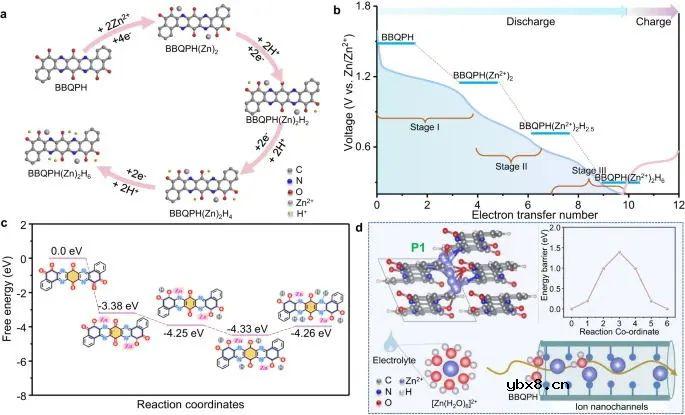 电子离域助力锌-有机电池