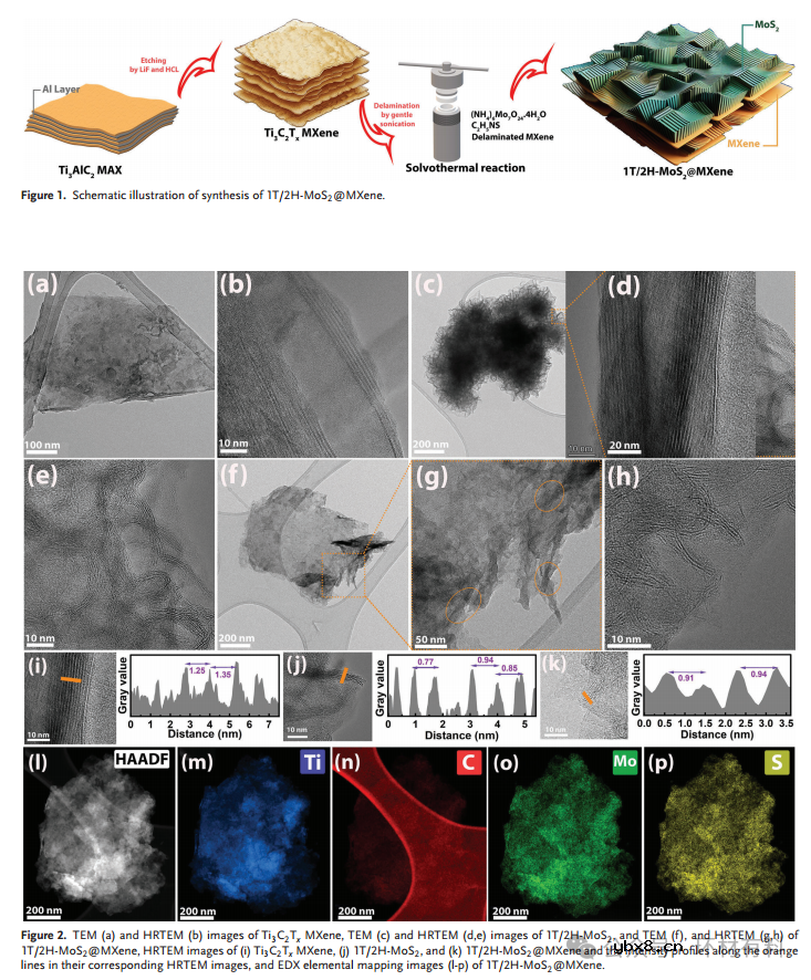 基于2D/2D纳米复合材料的高性能镁/锂离子电池协同阴极设计