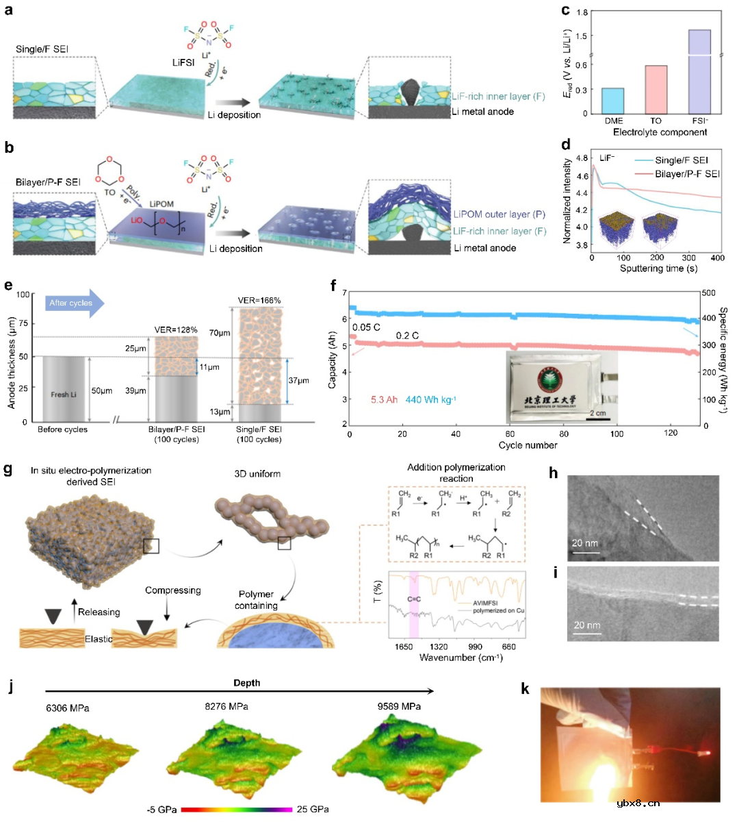分子策略构筑高能量密度锂金属电池的研究进展 分子策略构筑高能量密度锂金属电池的研究进展