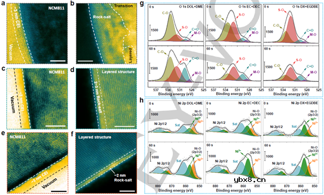 用于延长高压高Ni三元锂金属电池寿命的无氟醚基电解液