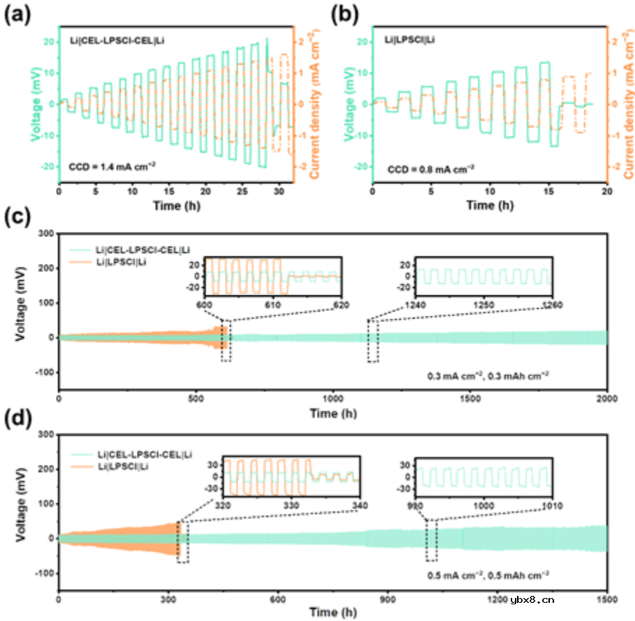混合导电界面实现长寿命、全固态锂金属电池