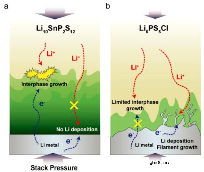 锂-固态电解质界面如何与堆叠压力演变相关