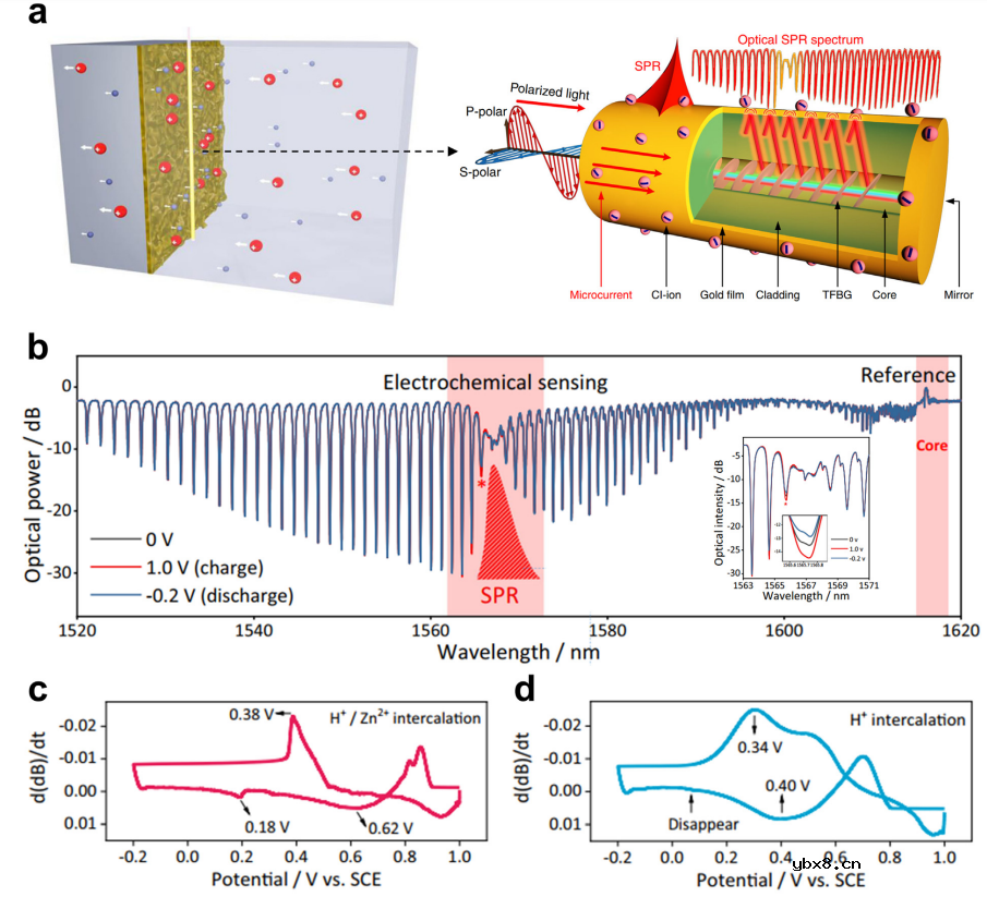 国家杰青黄云辉教授/李真教授：光纤传感技术在可充电电池健康监测中的应用