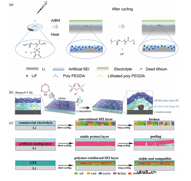固态锂金属电池内部固化技术综述 固态锂金属电池内部固化技术综述
