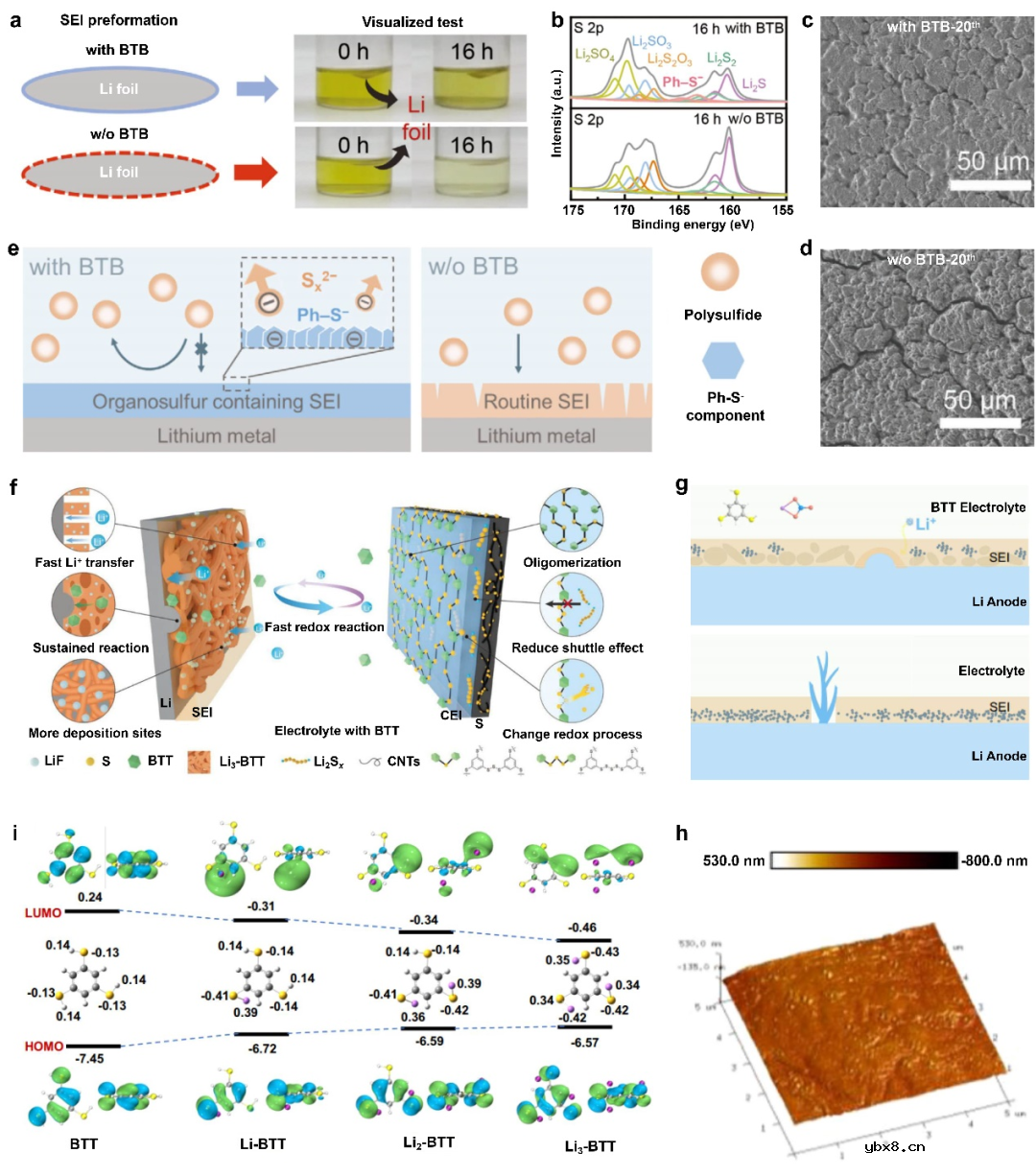 分子策略构筑高能量密度锂金属电池的研究进展 分子策略构筑高能量密度锂金属电池的研究进展