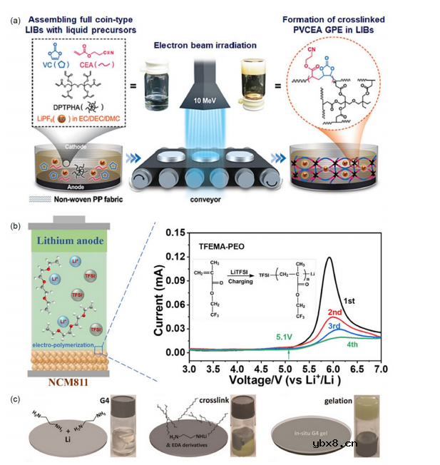 固态锂金属电池内部固化技术综述 固态锂金属电池内部固化技术综述