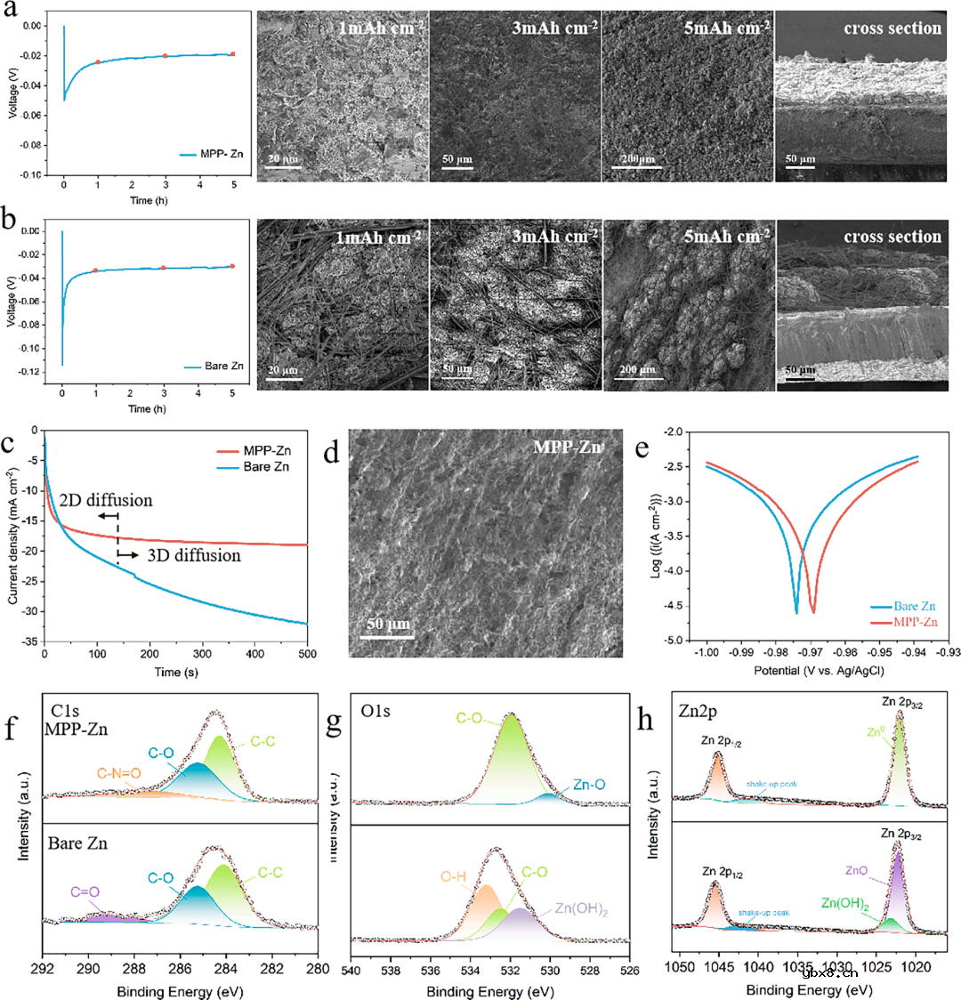 用于稳定且无枝晶的锌金属电池的多功能MXene-多孔聚多巴胺界面