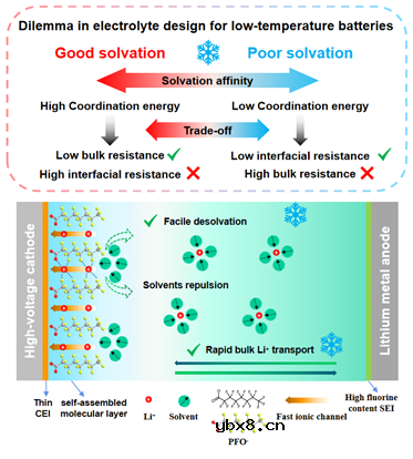 超分子不对称盐界面自组装实现超低温下的功率密度锂金属电池